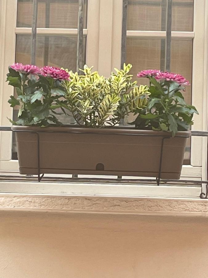 Cuor Di Mantova B&B Exteriör bild